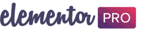 elementor-pro