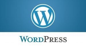 Read more about the article Basic Settings of WordPress